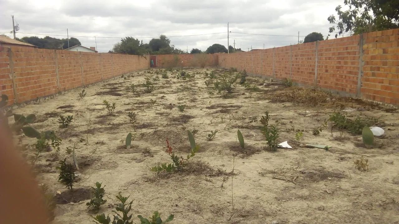 OPORTUNIDADE LOTE PLANO E MURADO - Foto 4