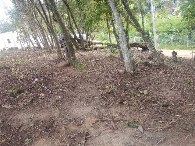 Foto - Cerro Azul - 