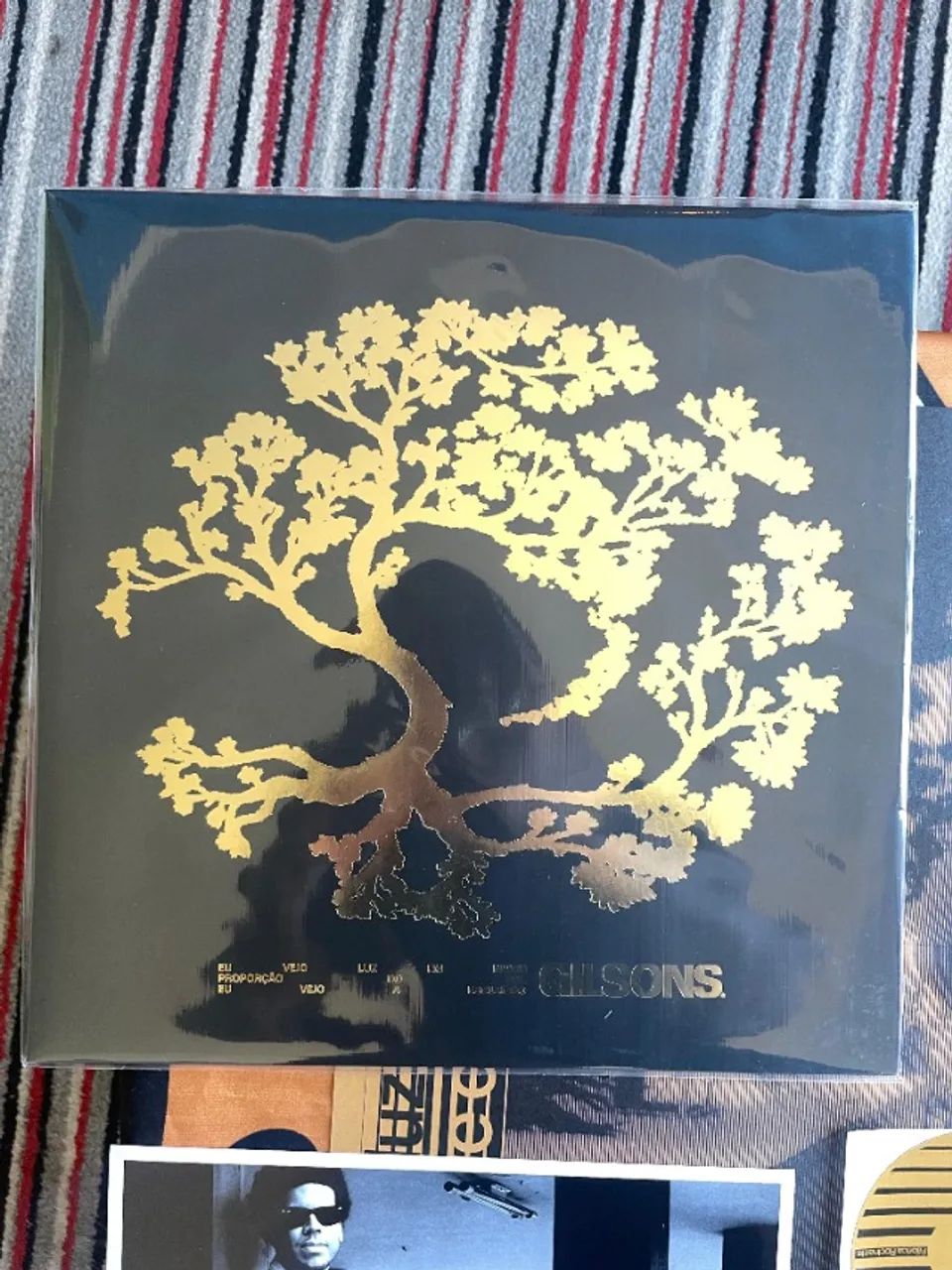 LP | Vinil Gilsons - Eu vejo luz em maior proporção que vejo a escuridão | Completo  - Foto 2