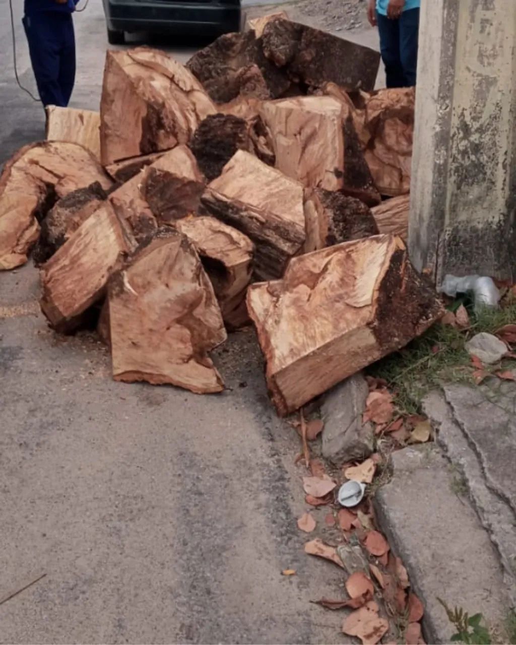 Remoção de Toco e Raiz de Árvore