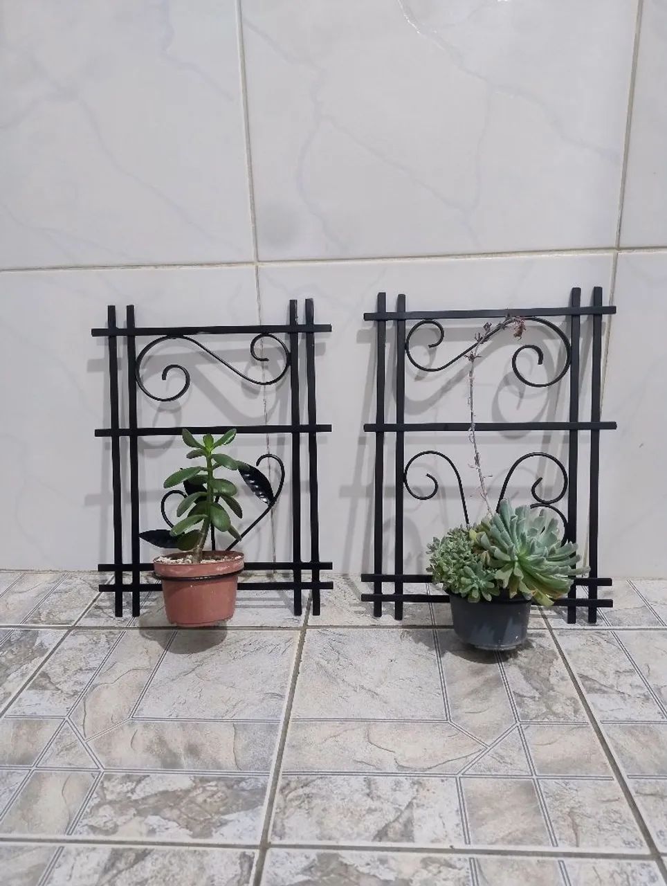 Suporte armado plantas 