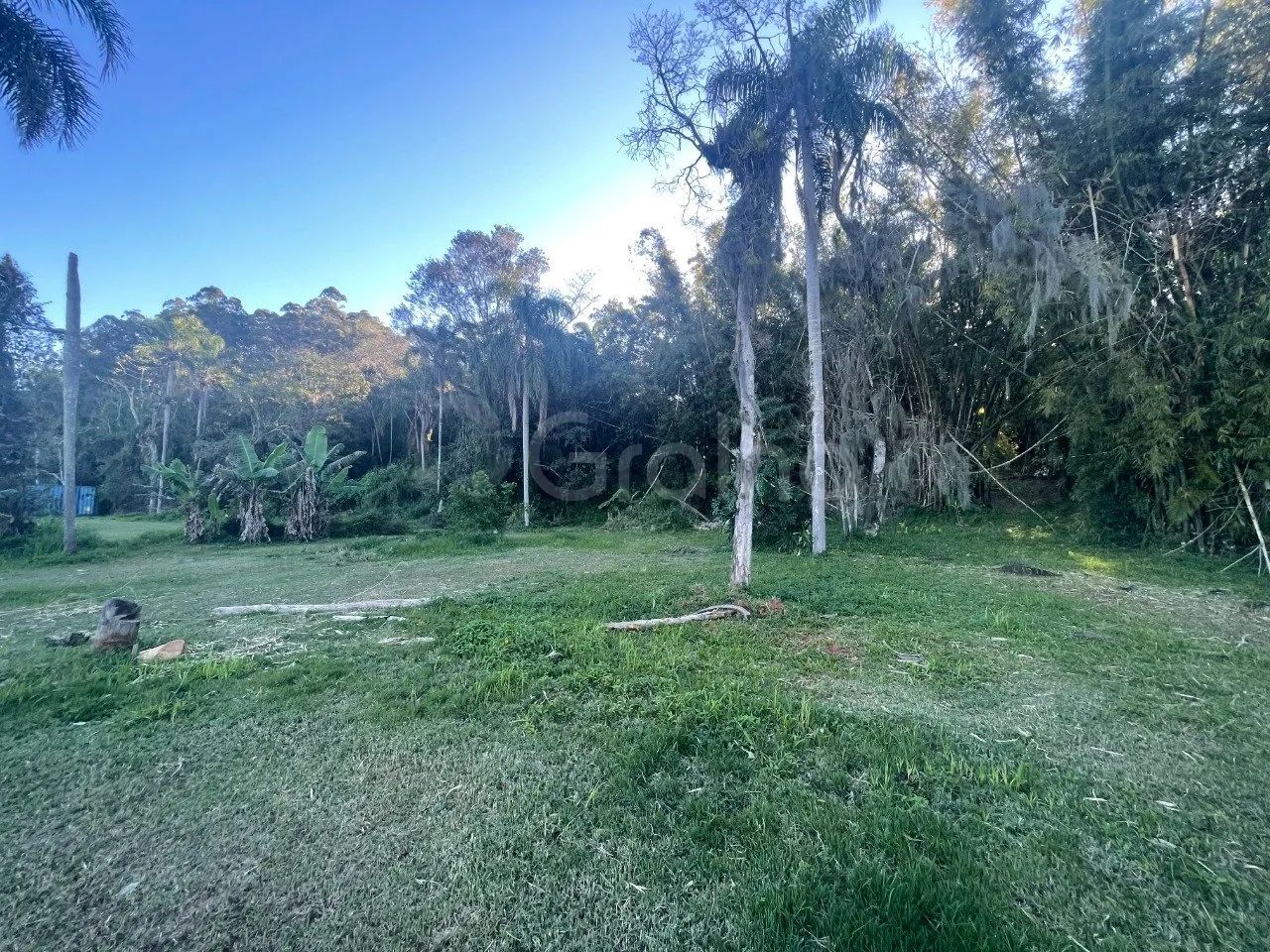 Terreno com 1.505,10m² em Ratones - Foto 5