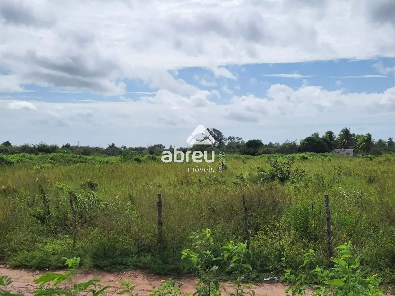 Sem Tipo Terreno em São Gonçalo do Amarante - Foto 3