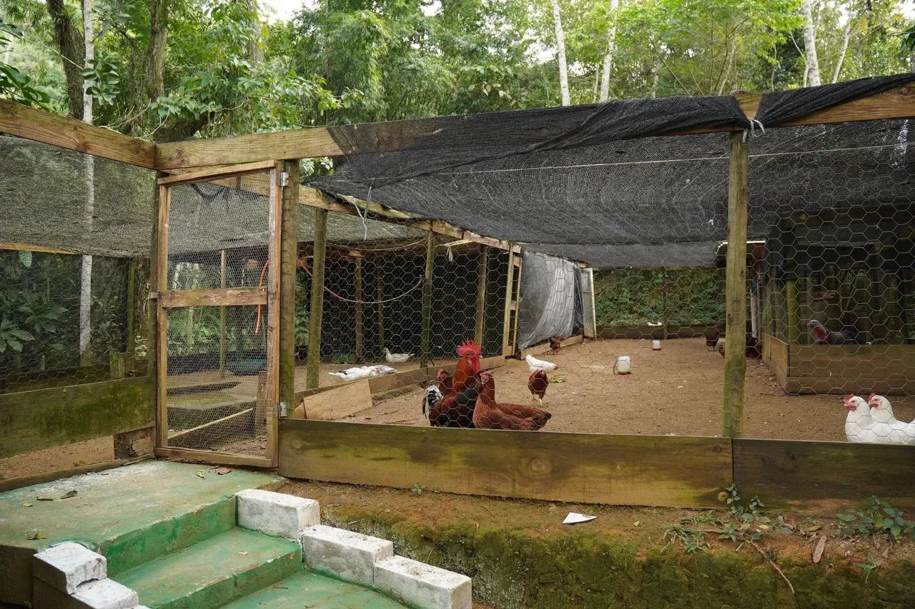 Edição Teste - Foto 2