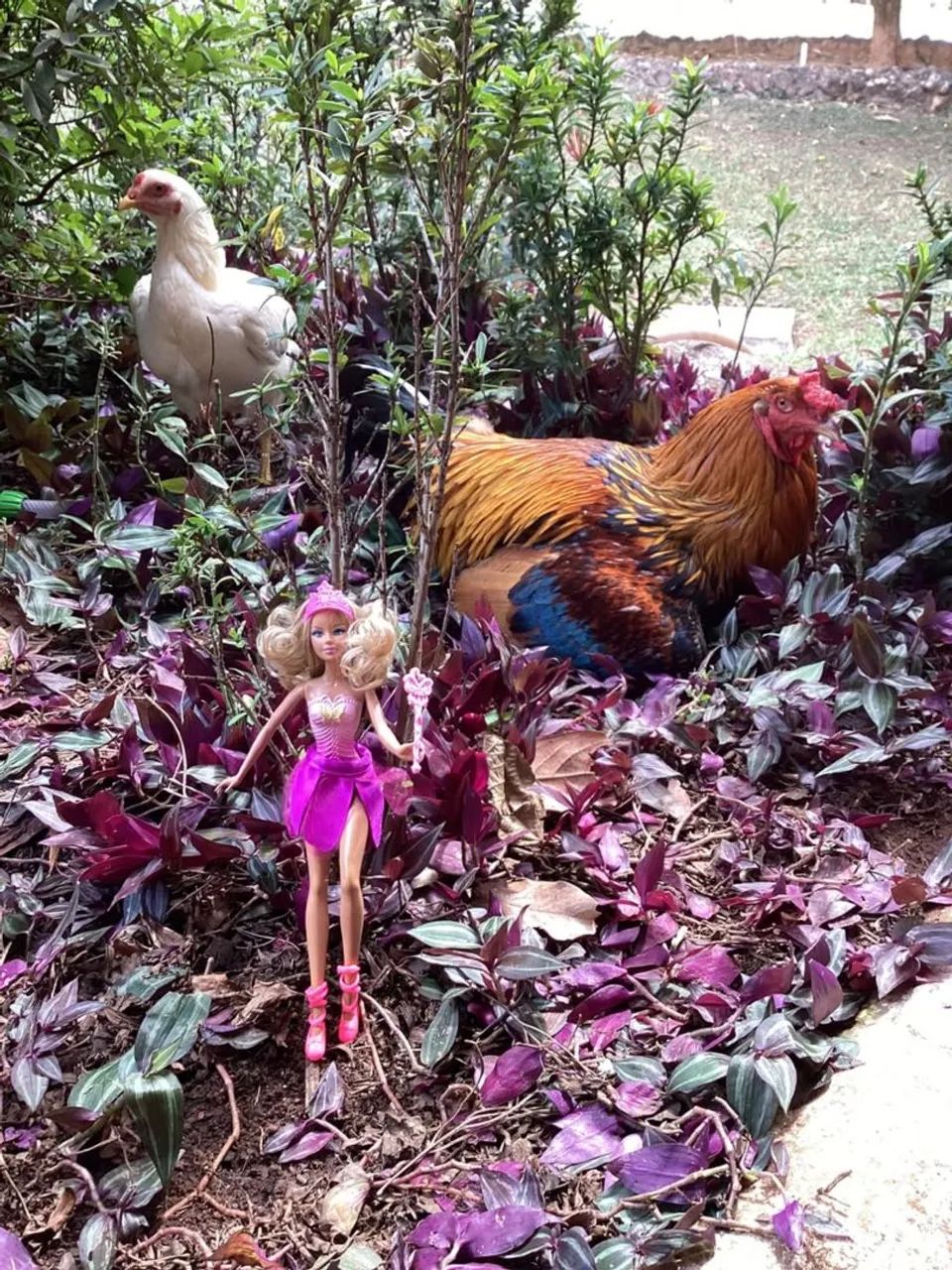 Barbie Fada Brilhante 2011 - Foto 2