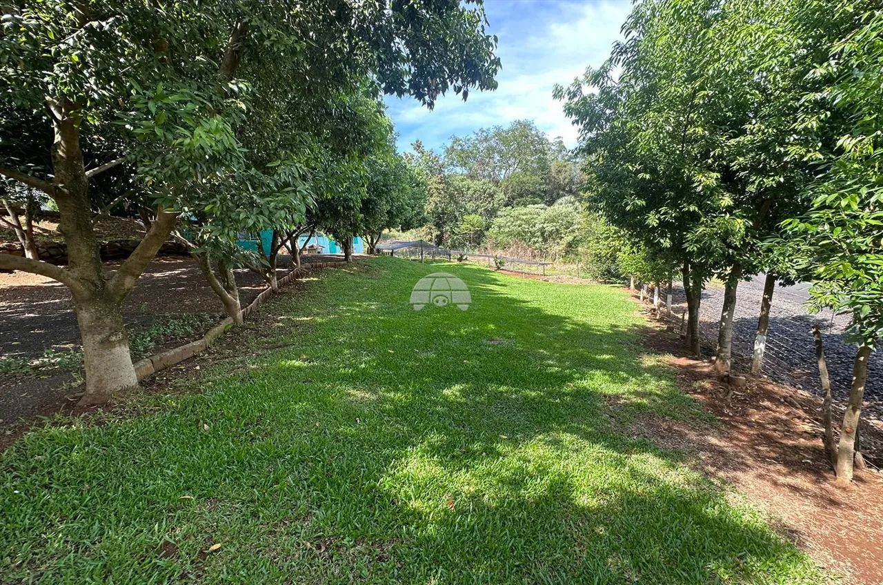 Vendas Chácara Pato Branco PR - Foto 2