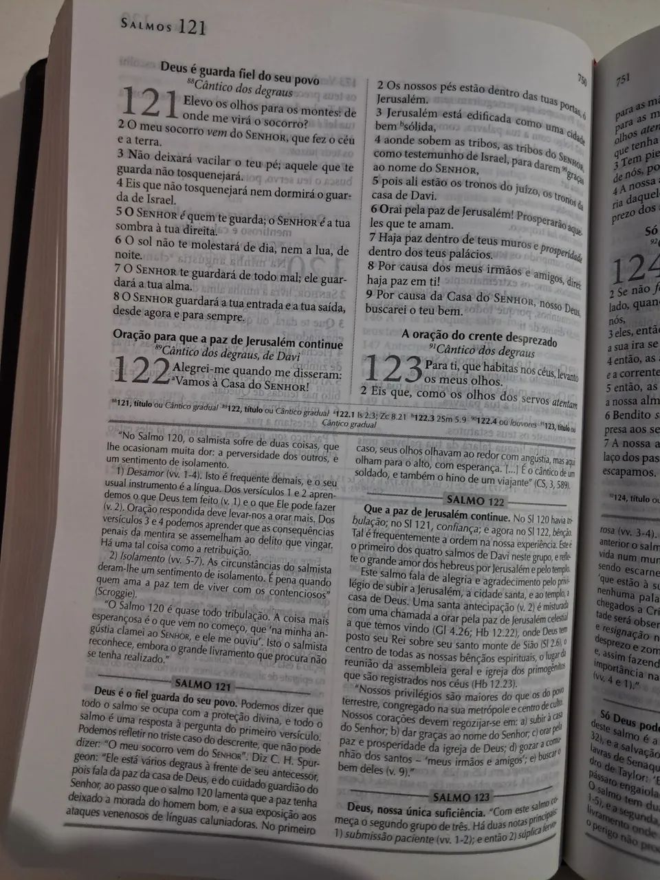 Bíblia de estudo explicada - Foto 2