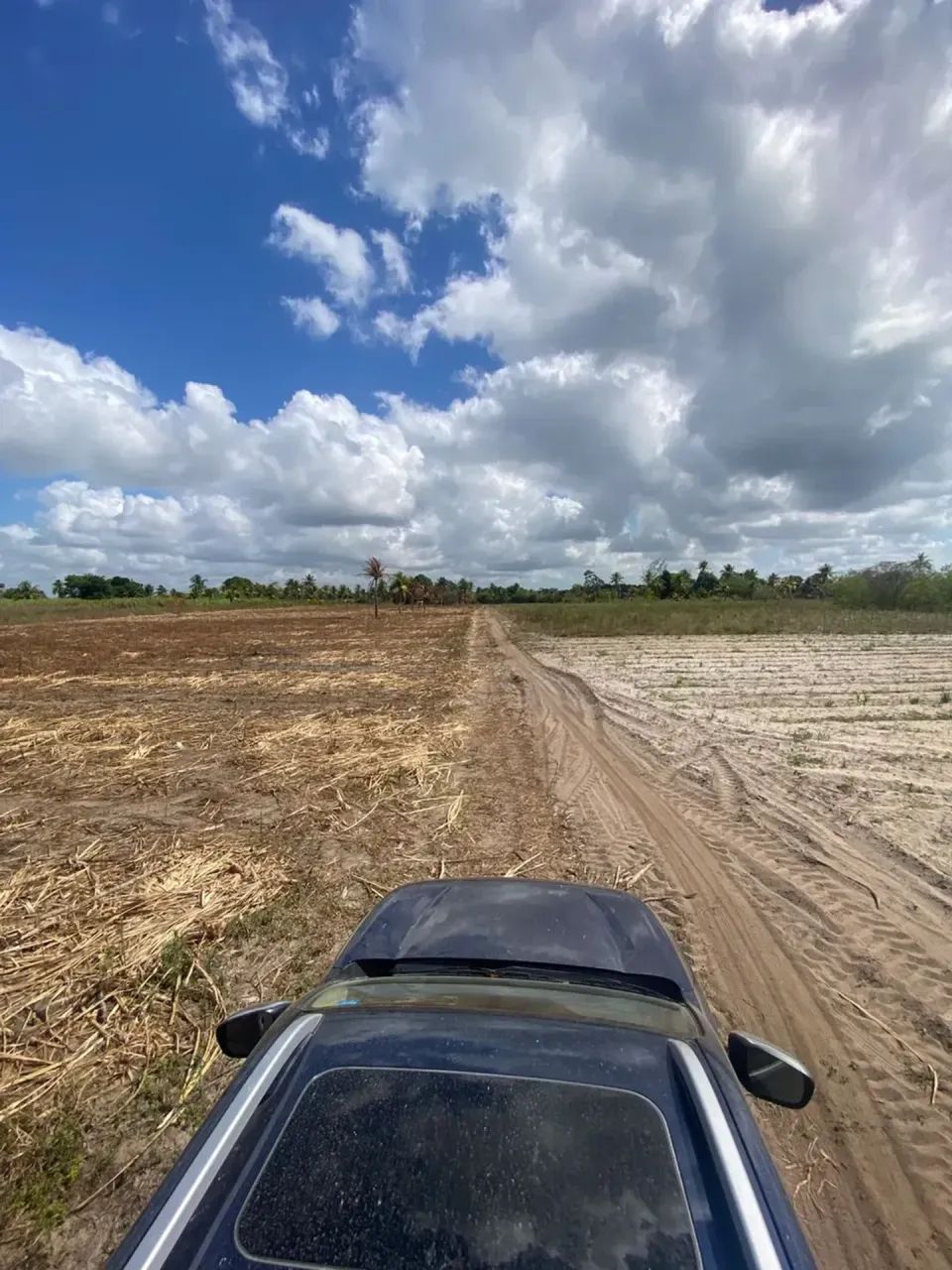 Excelente terreno Rural no Engenho Pitanga, em Igarassu, 4,5ha (123m X 366m) - Foto 6