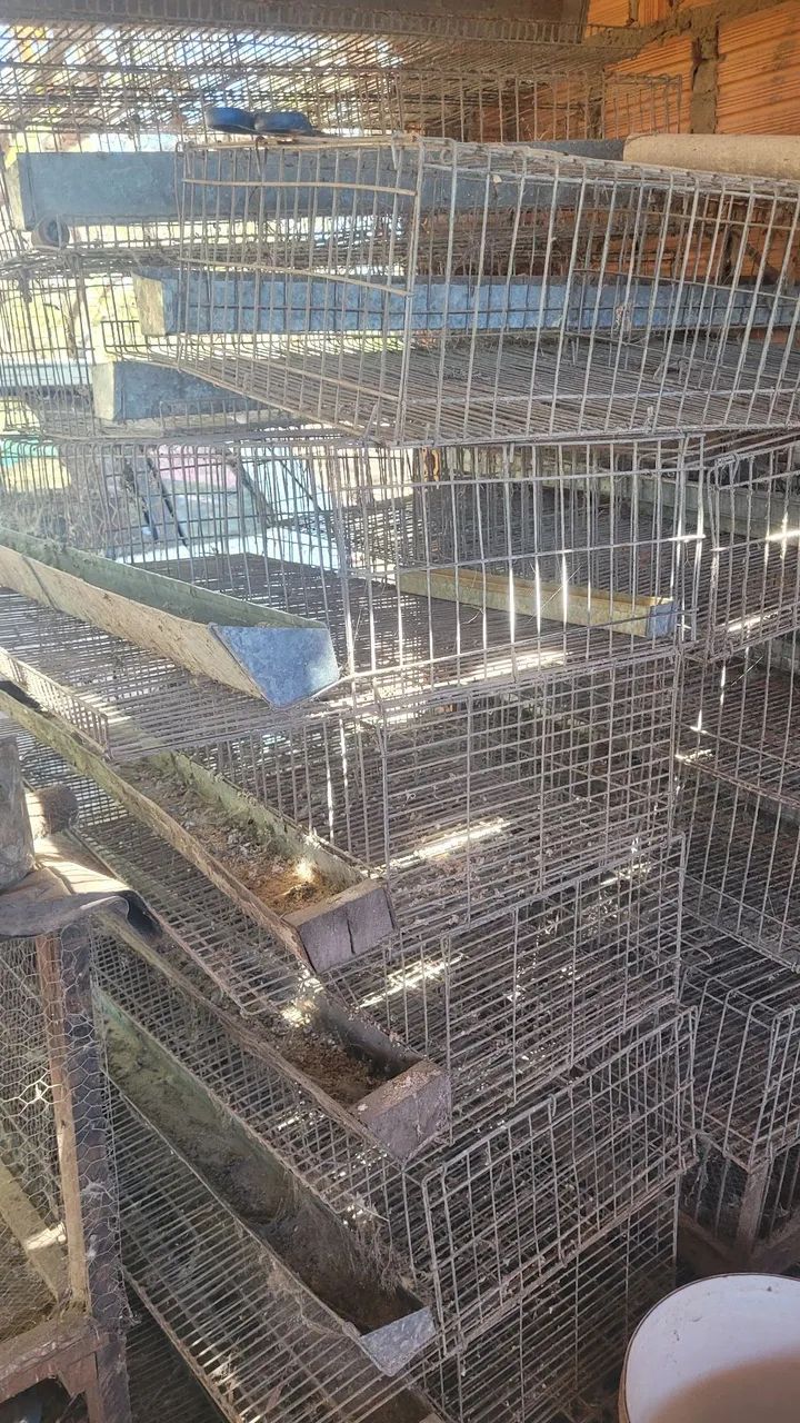 Gaiola para codorna usada  - Foto 2