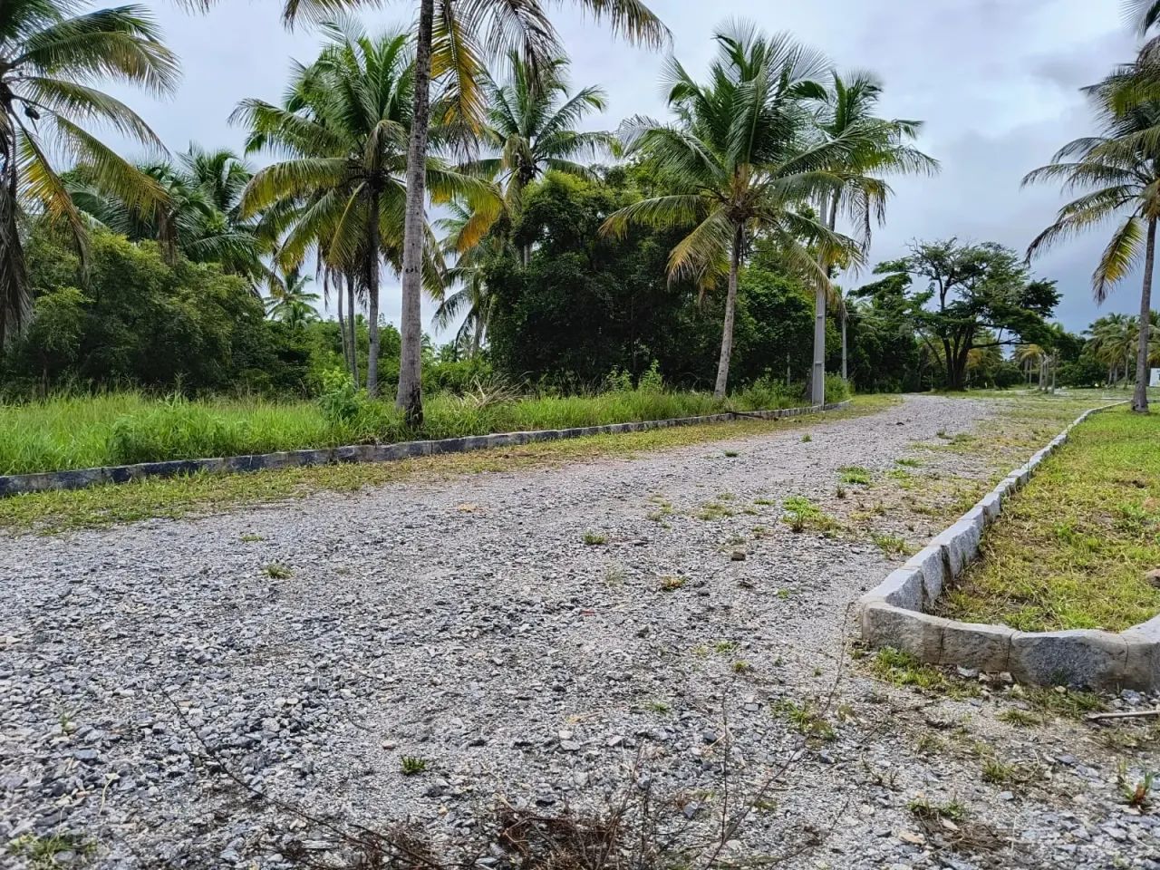 Porto de Galinhas - Terreno - Oportunidade!! - Foto 5