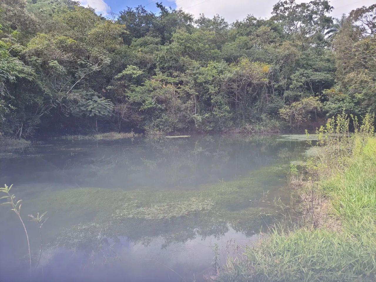 FAZENDA PARÁ DE MINAS - Foto 5