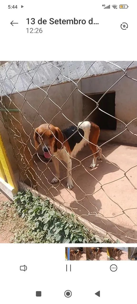 Vende-se 