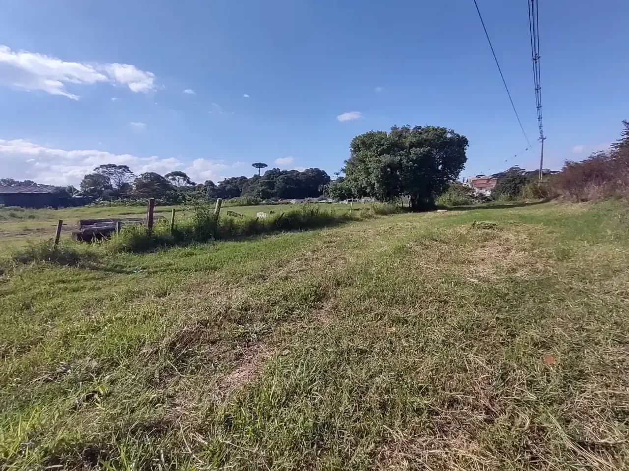Terreno no Sítio Cercado - Foto 3