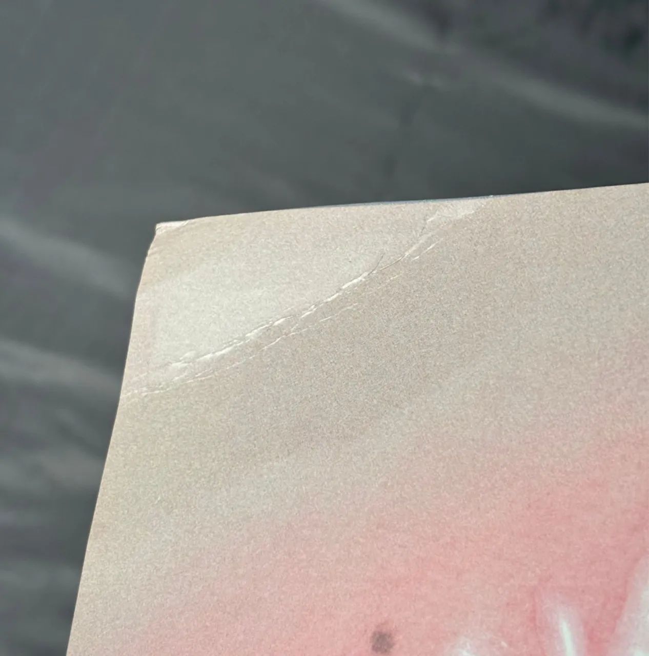 Vinil Wet Leg - Moisturizer LP Clear com Capa Alternativa - Foto 3