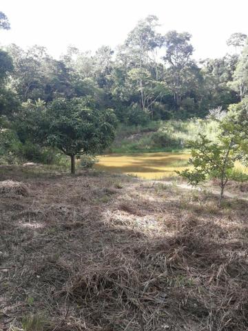 Fazenda ximarao em ALMENARA mg 125 hectares - Foto 11
