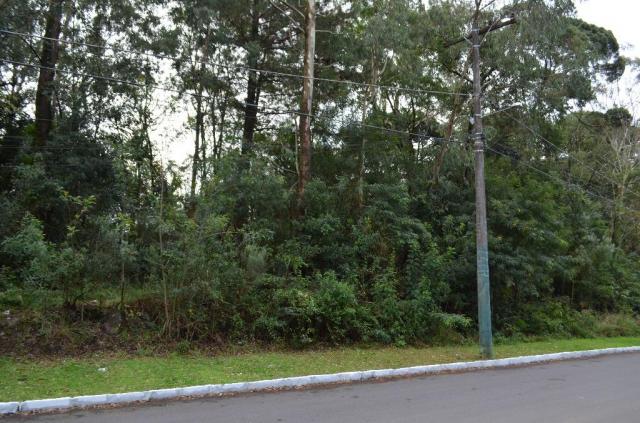 Terreno à venda, 731 m² por R$ 420.000,00 - Lago Negro - Gramado/RS - Foto 2