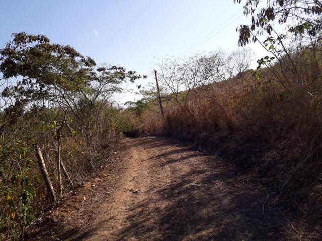 Ótima propriedade de 50 hectares, escriturada e registrada,a 4 km da pista de Pombos-PE - Foto 20