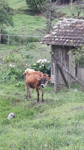 Oportunidade única !!! - Foto 12
