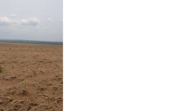 645 Hectares,250 hectares,Gradeada, Soja,Tangará-MT,Chapadão dos Parecis.Ótima Localização