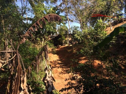 Sítio à venda em Pagará grande, Santo amaro da imperatriz cod:120 - Foto 4