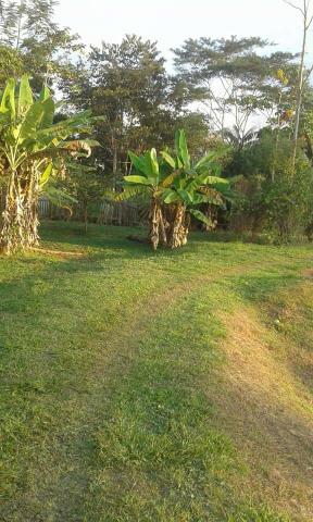 Chácara chacara, sitio, fazenda casa moradia carro, aluguel, aluga-se