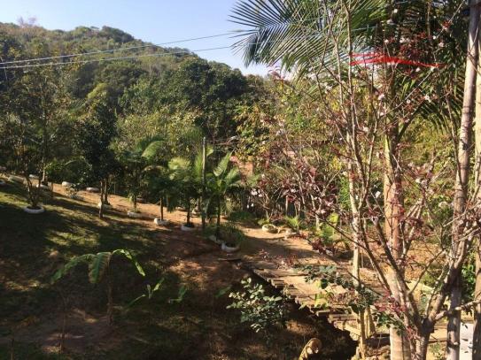 Sítio à venda em Pagará grande, Santo amaro da imperatriz cod:120 - Foto 7