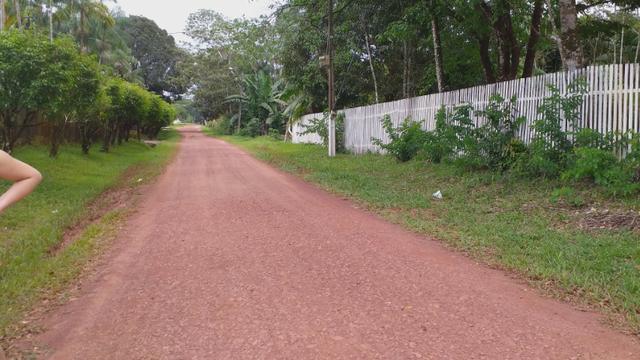 Venda do Sítio com Igarapé - Foto 6