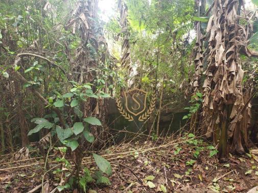 Terreno à venda, 1200 m² por r$ 1.300.000 - várzea - teresópolis/rj - Foto 2