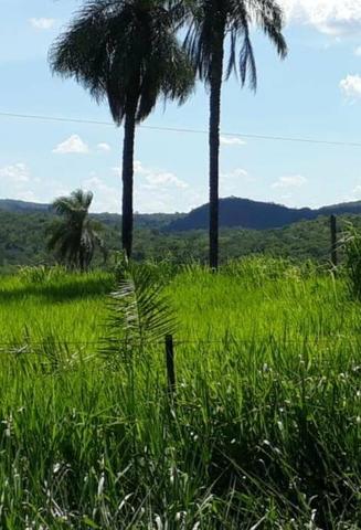 Oportunidade Fazenda Vale Do Prata - Foto 6