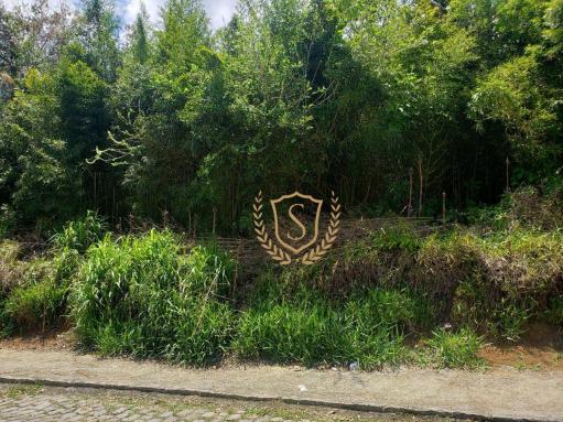 Terreno à venda, 4200 m² por r$ 2.760.000,00 - várzea - teresópolis/rj - Foto 2