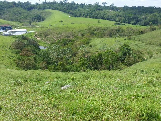 Fazenda na AM 010 - Foto 10