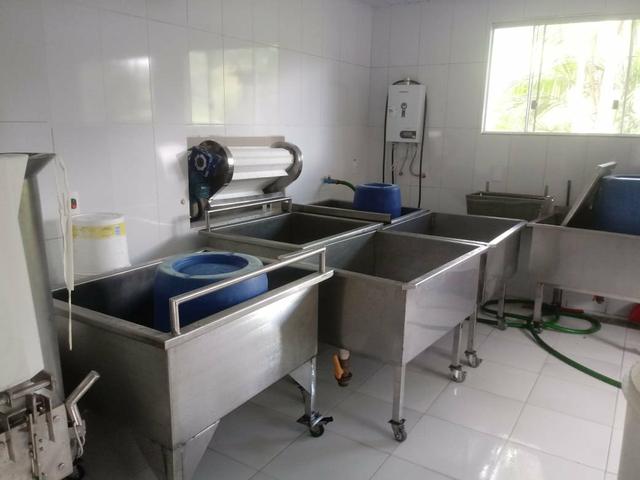 Polpas de açaí e polpas de frutas