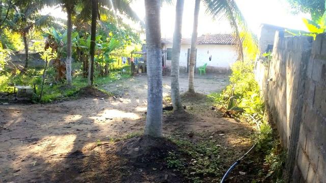 Vendo sítio 630m² com 2 casas 21m x 30m - Foto 11