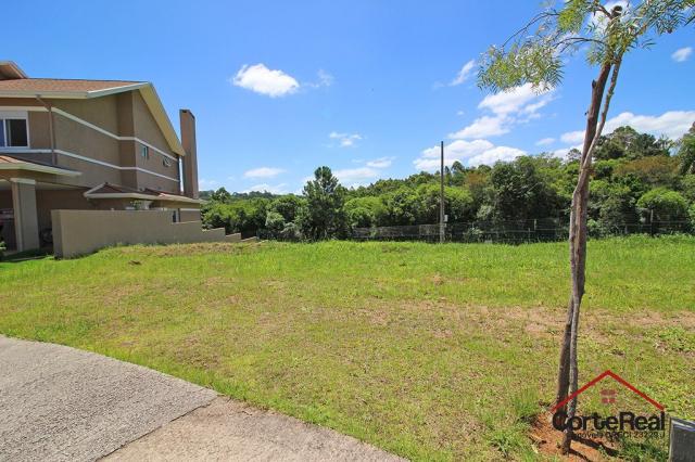 Terreno à venda em Vila nova, Porto alegre cod:6021 - Foto 6