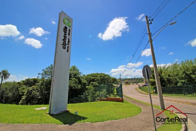 Terreno à venda em Vila nova, Porto alegre cod:6013 - Foto 2