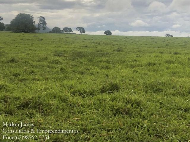 Fazenda em Vila Propício-Go! - Foto 7