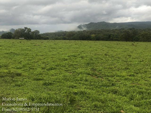 Fazenda em Vila Propício-Go! - Foto 8