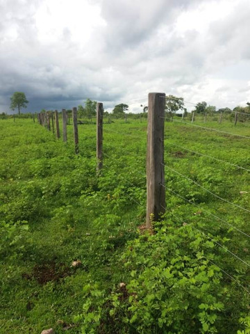 207 alqs Tem logística água e terra conceição TO - Foto 10