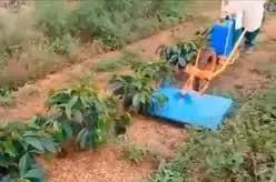 Carriola knapik- Aplicador de Herbicida 