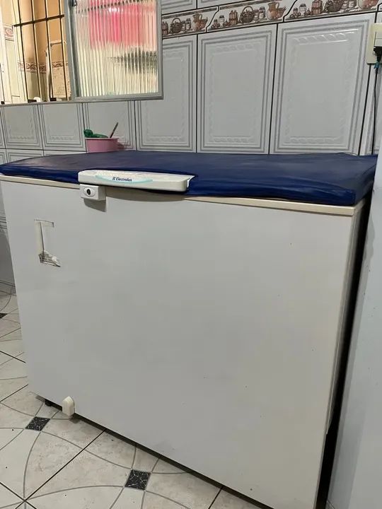 Freezer Electrolux 305L