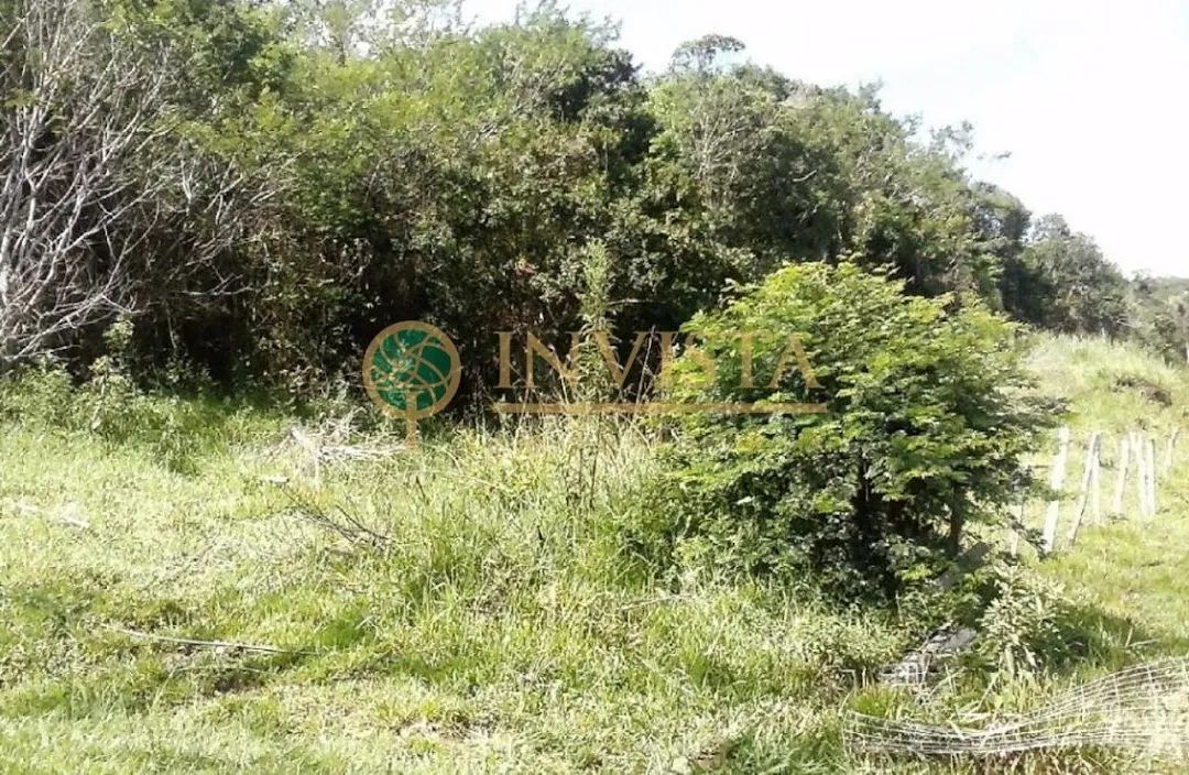 À venda | Terreno com 5.560 m² - Pantanal, em Florianópolis. - Foto 4