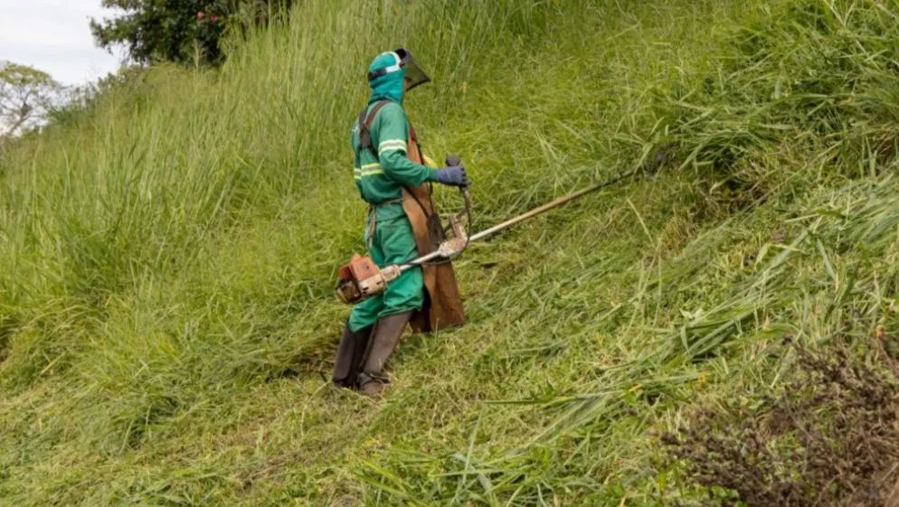 Serviço roçagem e poda de árvore limpeza de terreno  - Foto 4