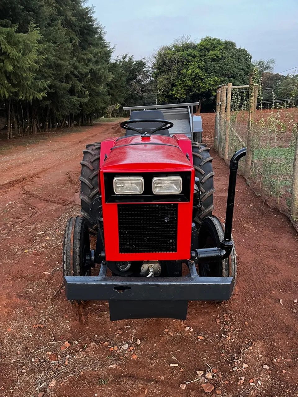 Agrale 4100 1986 - Foto 6