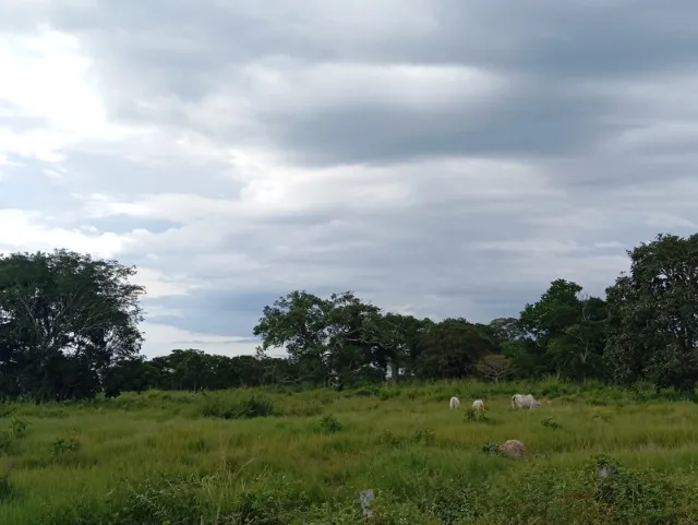 Fazenda Caraíbas