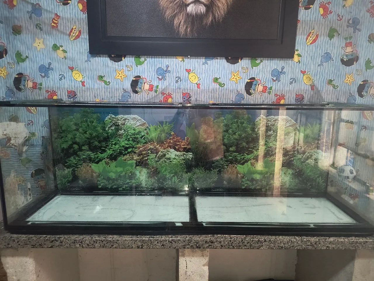 Aquário 500 litros - Foto 5