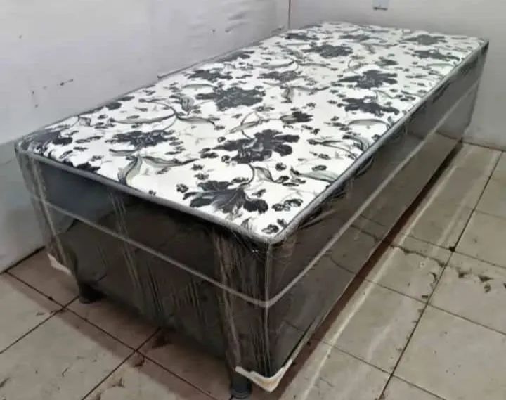 Solteirão 196 por 1 