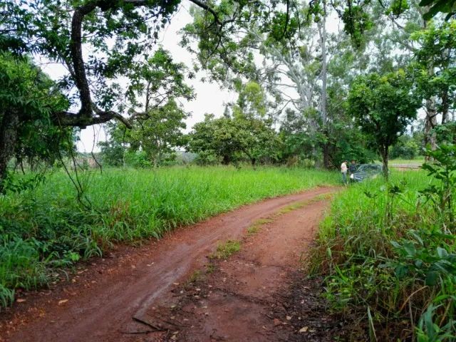 Chácara as margens da Go-020. A 55 km de Goiânia! - Foto 3