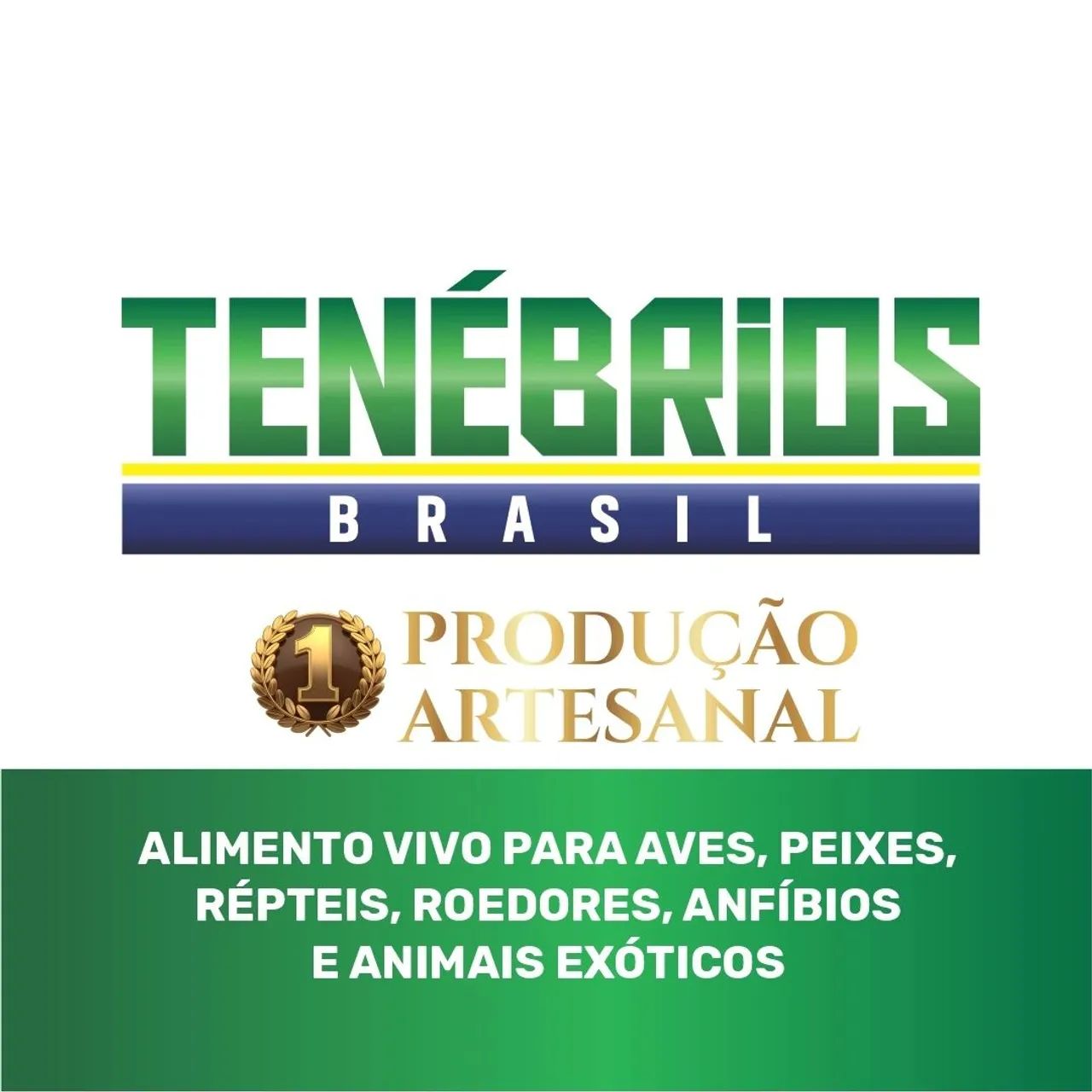 Tenébrios Vivos - por kg ou unidades
