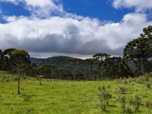 Chácaras a partir de 290 mil - Foto 5