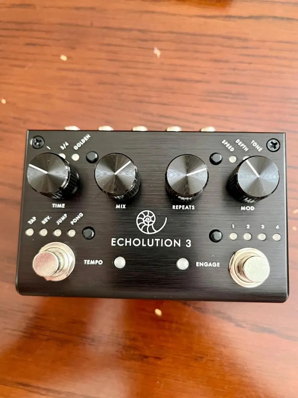 Pedal Echolution 3 - Pigtronix - Foto 2